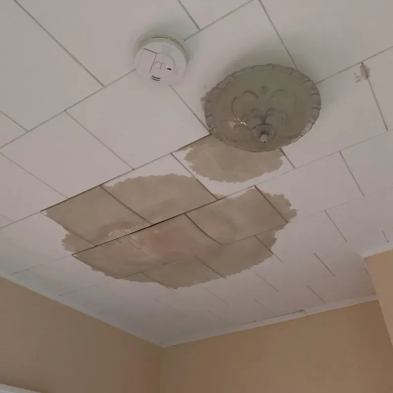 Ceiling Water Damage Repair in Stoughton, MA