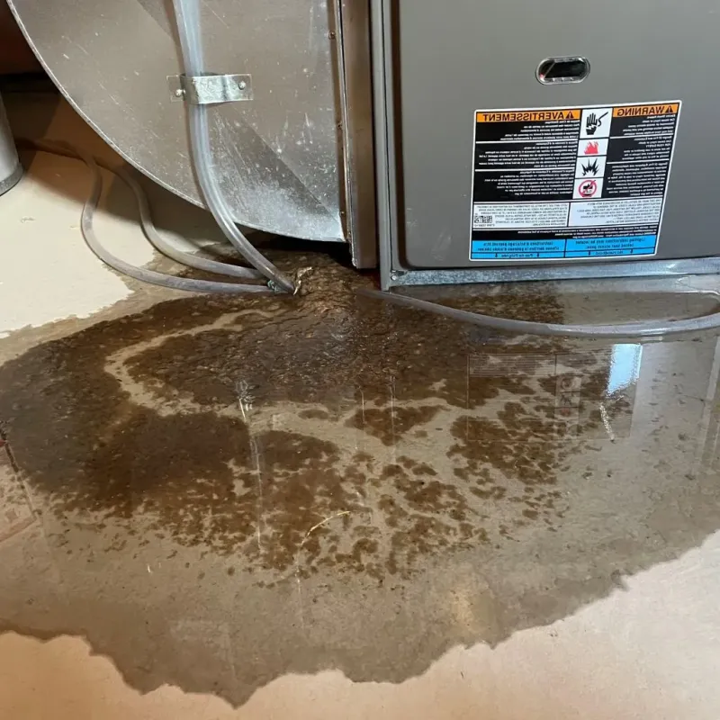 Pipe Burst and Leak Restoration in Stoughton, MA